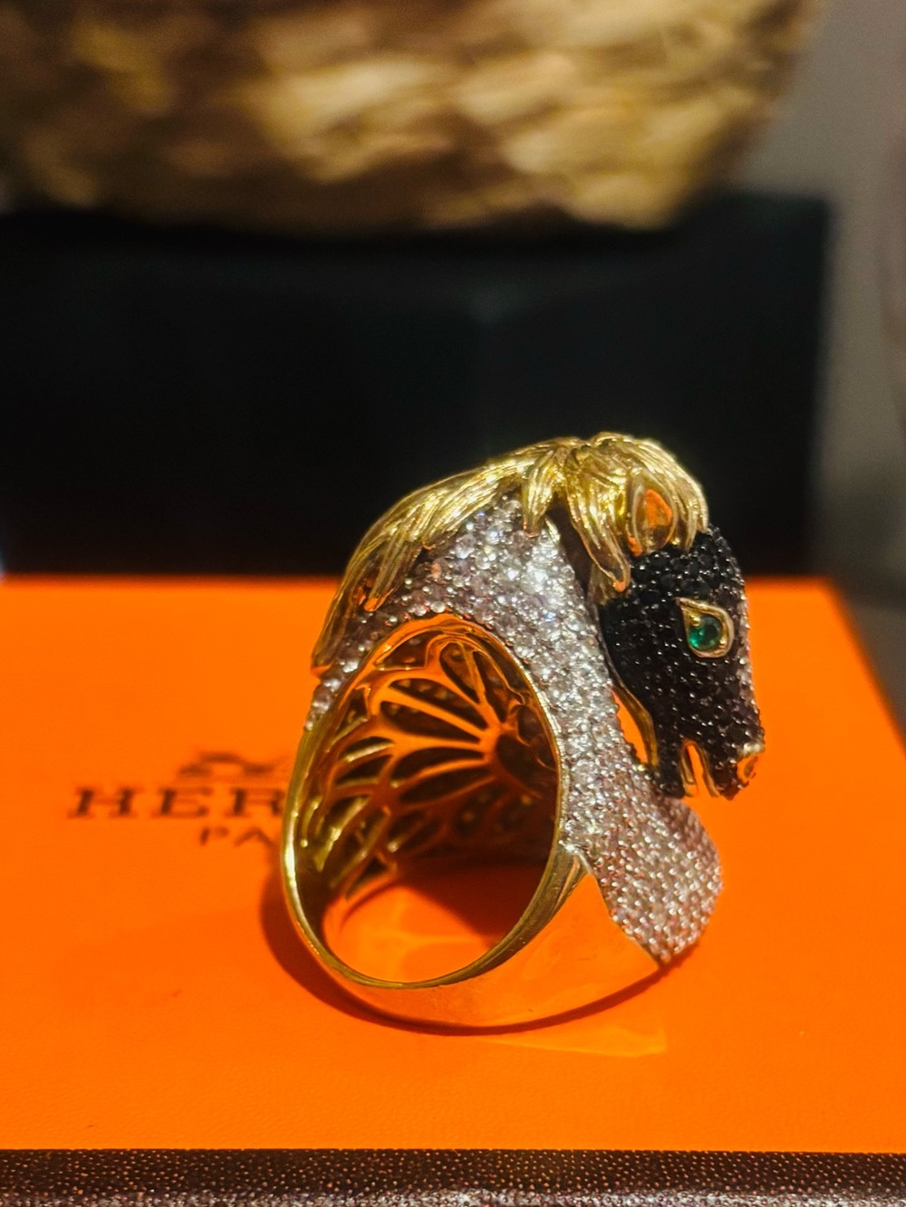 Equestrian horse ring